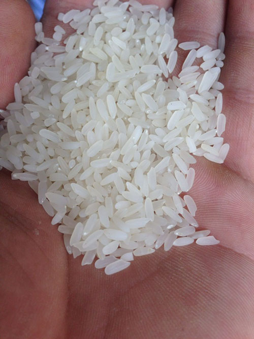 Gạo bắc hương - Kinh Doanh Củi Trấu Lương Thực